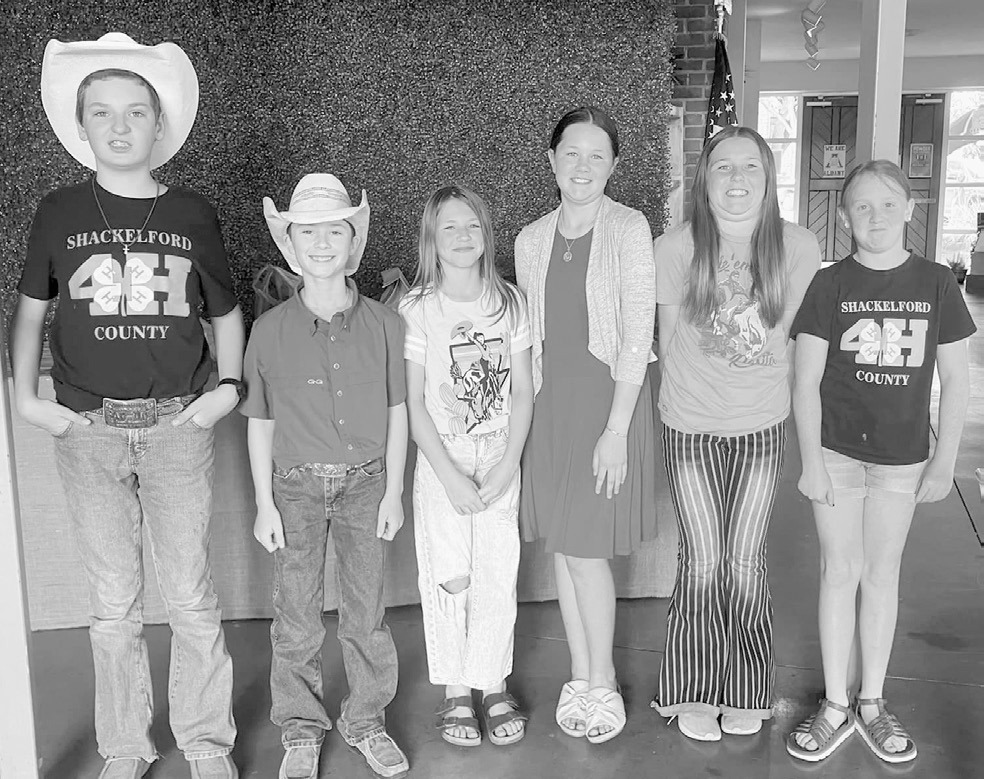 4-H elects new officers