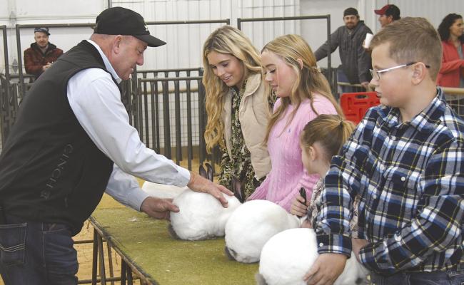 250+ projects shown at 2024 livestock show