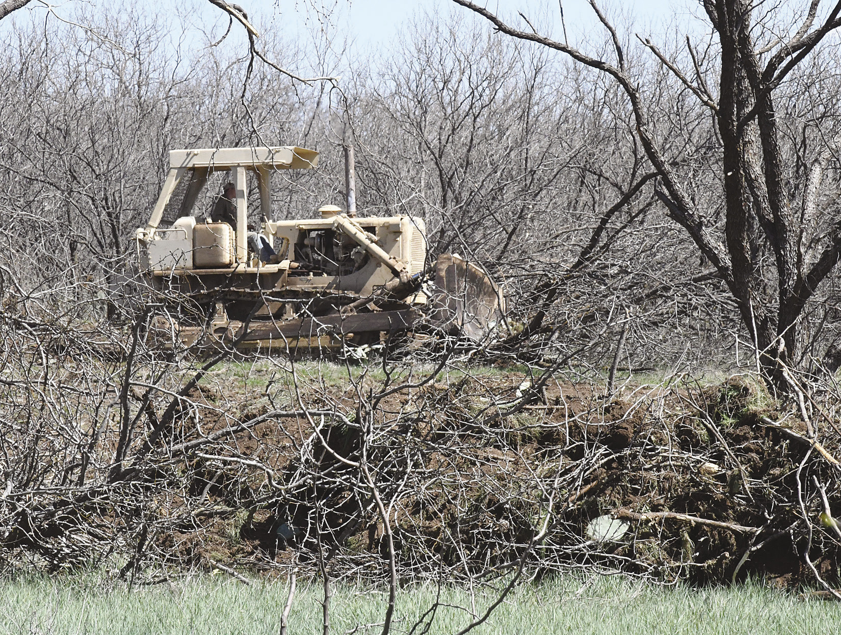 City starts work clearing 42 acres