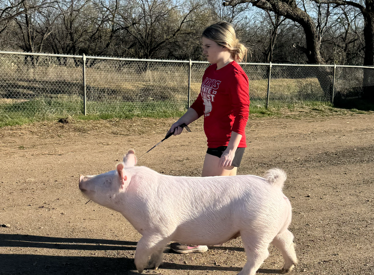 Plans finalized for county stock show