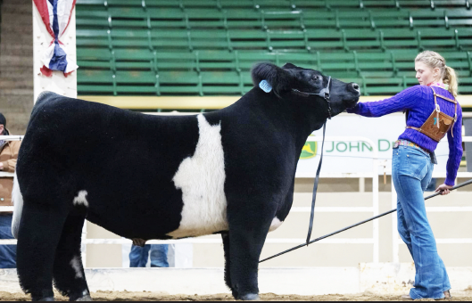 Albany FFA members earn top honors at shows