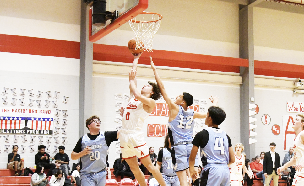 Lions strengthen playoff hopes with district wins