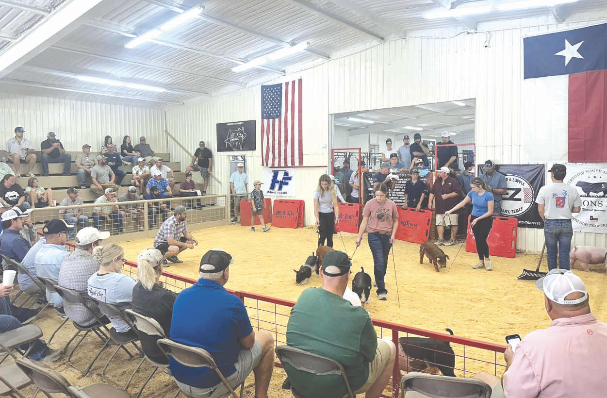 39th annual pig sale breaks all-time records