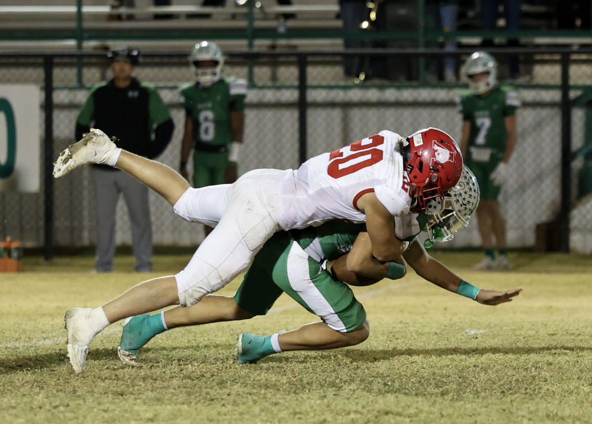 Historic defense seals Lions’ district crown