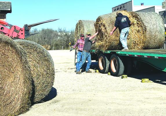 Local hay donations taken to Panhandle