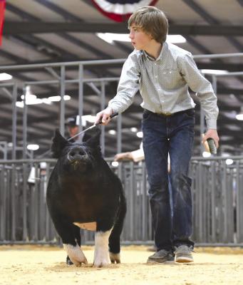 FFA exhibitors show at San Angelo