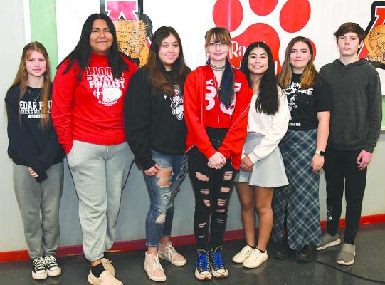 Soloists perform at contest