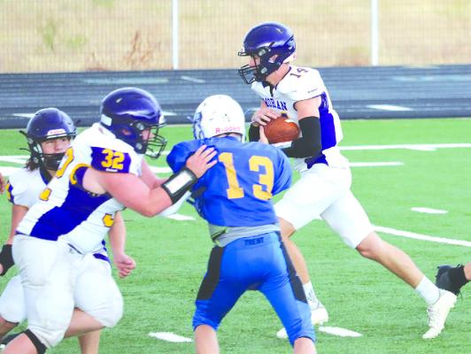 Bulldogs prepare for opener