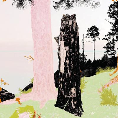 RECENT OJAC ACQUISITION – LEIGH MERRELL’S LOST PINE, 2023