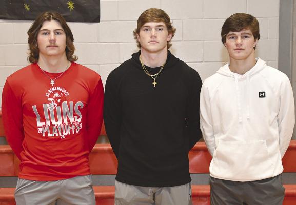 Lions claim 28 spots on all-district teams
