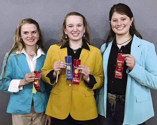 County 4-Hers qualify for state