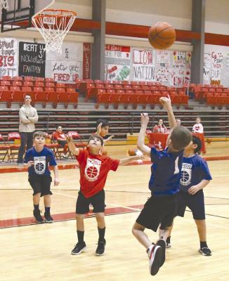 Little Dribblers continue