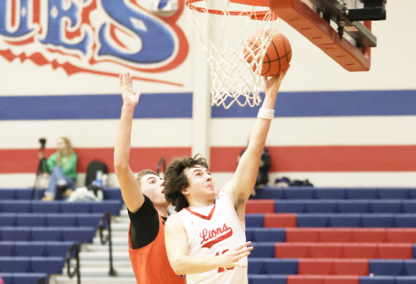 Lions advance to area round with win over Petrolia