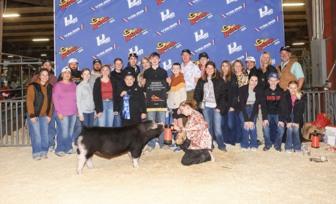 Albany FFA competes at San Angelo, San Antonio shows