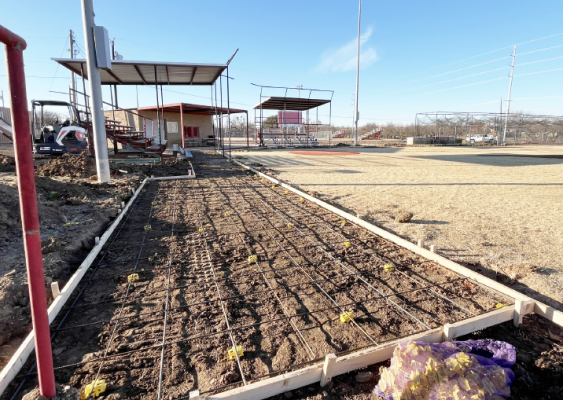 Albany Little League prepares for season with upgrades, registration ongoing