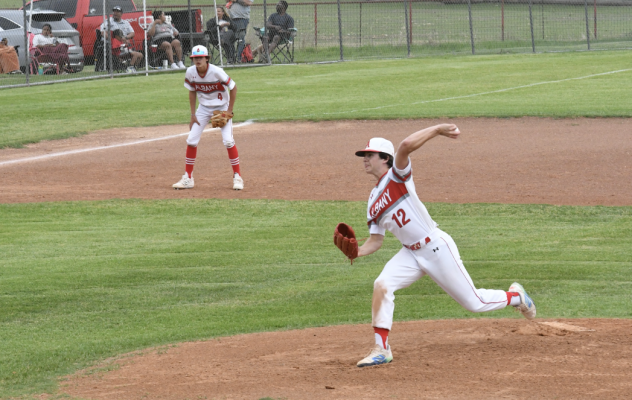 Lions secure playoff spot as No. 2 seed in Division II