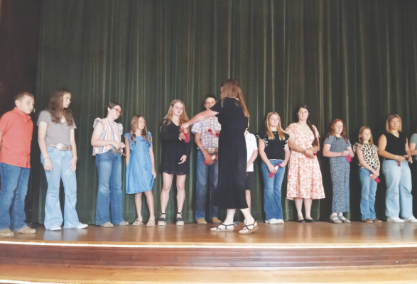 Banquet honors 4-H members, marks end of successful year