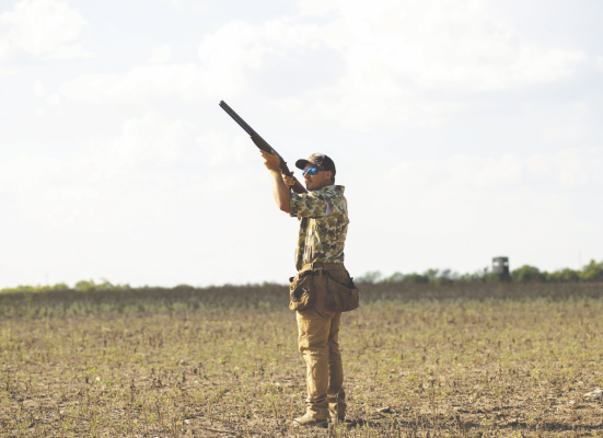 Dove season opens Monday in Shackelford County