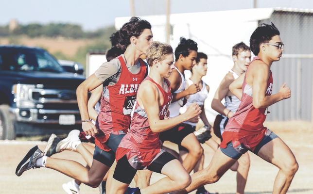 Stewart leads Albany runners with district gold