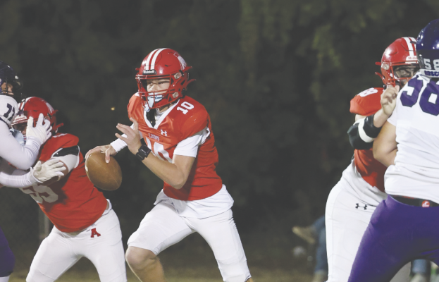 Lions stifle Roscoe, set sights on district title