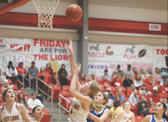 Lady Lions shut down Stamford