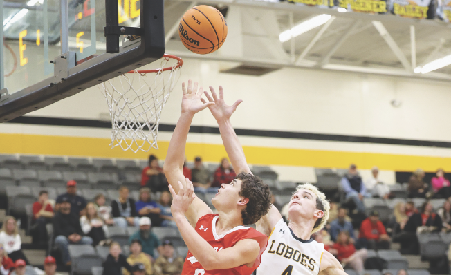 Lions stay hot with dominant district wins