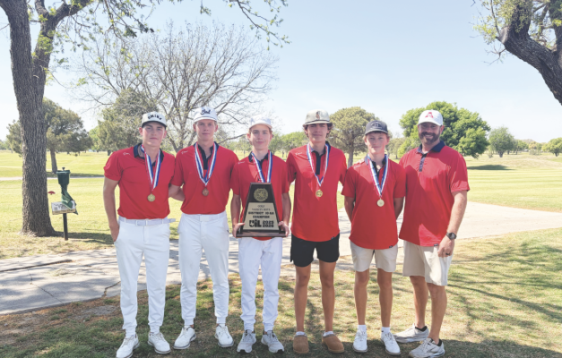 Lions rally late to win district golf championship