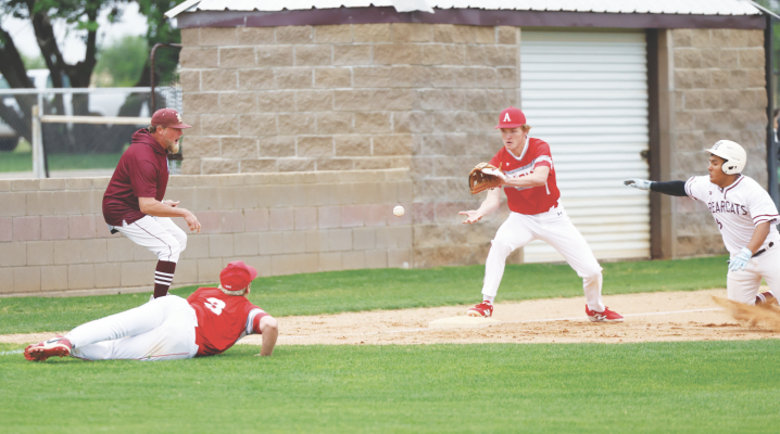 Lions fall to Hawley, turn focus to playoffs