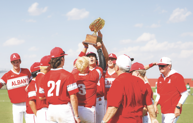 Lions battle back to eliminate Eldorado