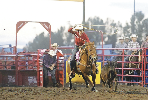 Denton Finds Her Stride In Pro Rodeo