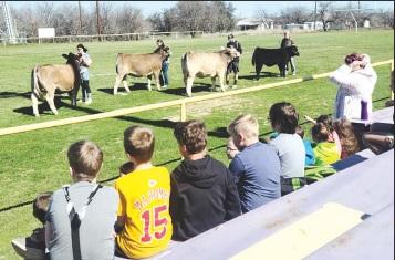 Moran ag students stay busy