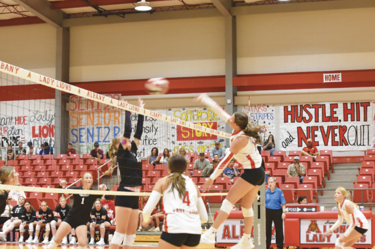 Lady Lions Begin Season With Strong Showing