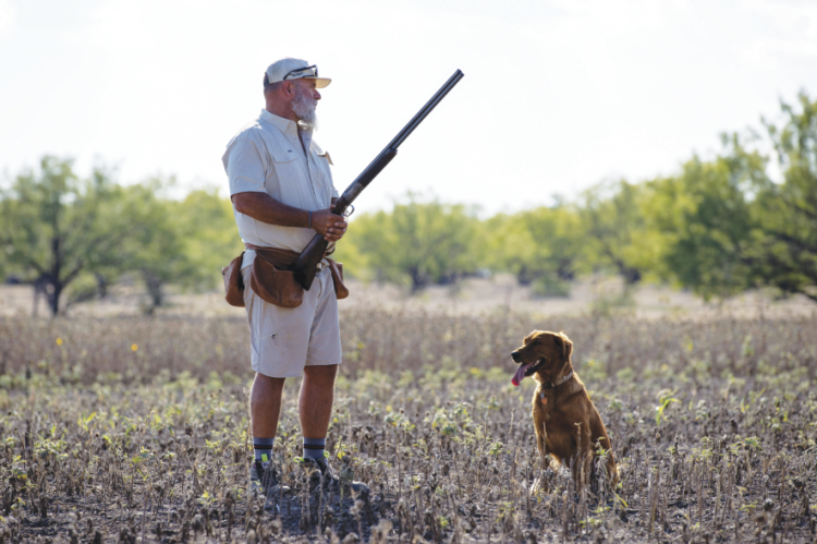 Dove Season Takes Flight Tuesday