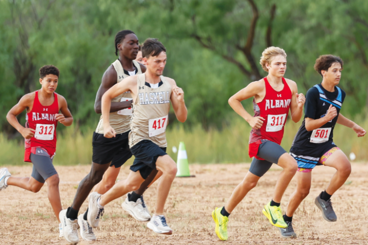 Albany Runners Finish Strong at District Cross Country Meet